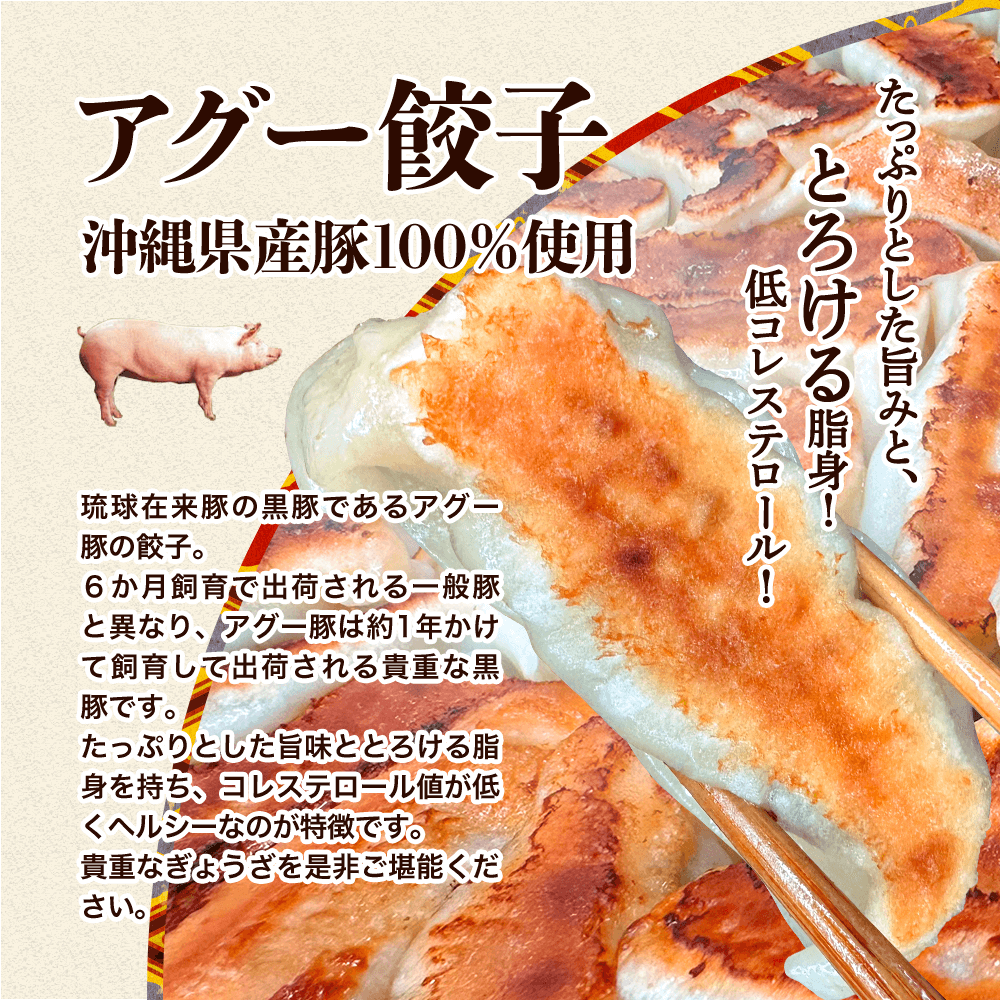 餃子右衛門 in 沖縄 元祖沖縄ぎょうざ 琉珉珉 (りゅうみんみん）
