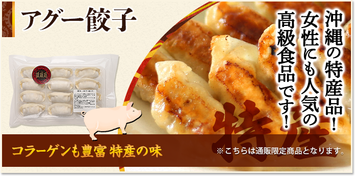 元祖沖縄餃子 琉みんみん - Yahoo!ショッピング