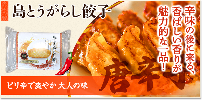 元祖沖縄餃子 琉みんみん - Yahoo!ショッピング