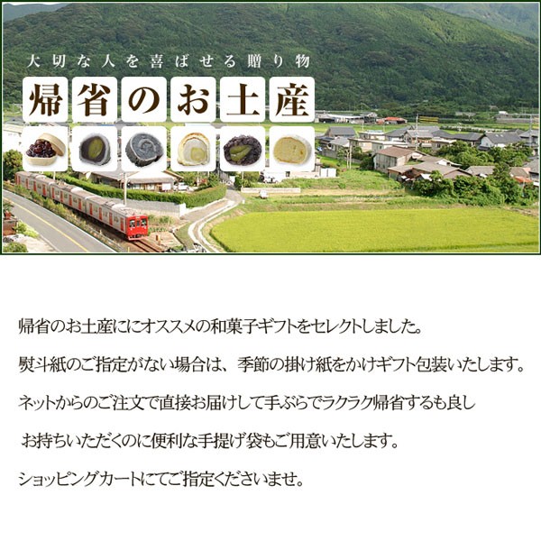 帰省のお土産・手土産和菓子ギフト