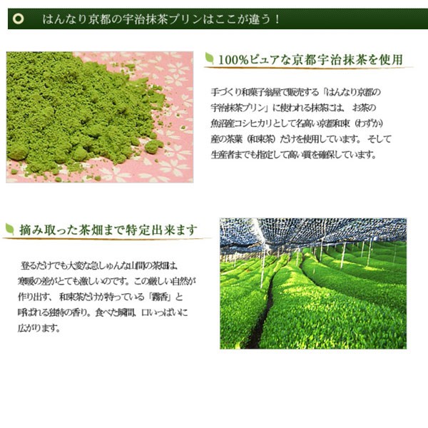 高級和菓子・栗饅頭
