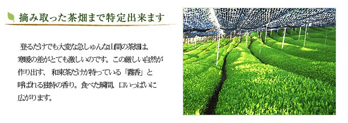 摘み取った茶畑まで特定出来ます。登るだけでも大変な急しゅんな山間の茶畑は、寒暖の差がとても激しいのです。この厳しい自然が作り出す、 和束茶だけが持っている「霧香」と呼ばれる独特の香り。食べた瞬間、口いっぱいに広がります。