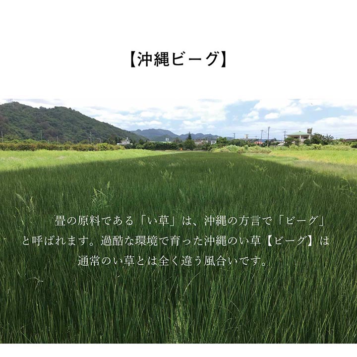 DX沖縄ビーグ い草 い草ラグ カーペット ビーグ 国産 日本製 沖縄 和室