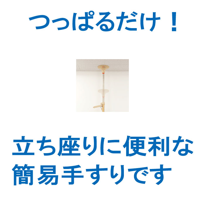 簡易てすり 立ち上がり 補助 つっぱり ベスポジ基本セット T型