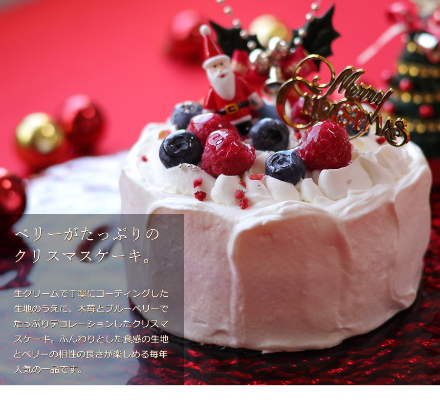 クリスマスケーキ 予約 2022 ホワイトクリスマス 12cm 4号 サイズ（目安：2人、3人、4人分） かわいい ショートケーキ  :1-18-1-000288:OKODePA おこデパ - 通販 - Yahoo!ショッピング