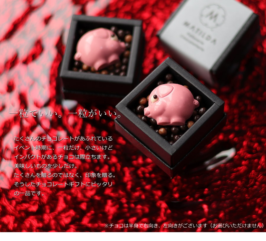 チョコレート型　アンティーク　ベルギー　フランス　ブタ 6_mt_piggy.jpg