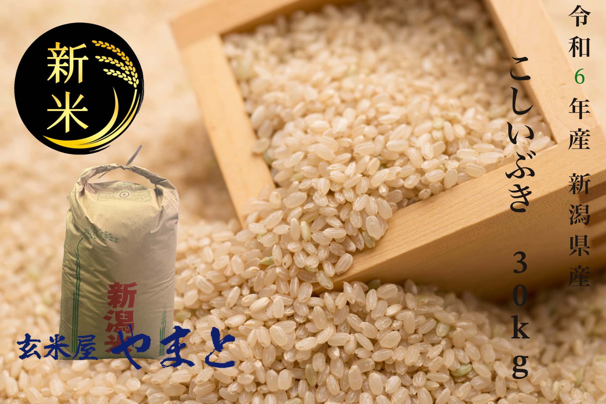 玄米 新米 令和6年産 新潟県産こしいぶき 1等 30kg : 玄米屋