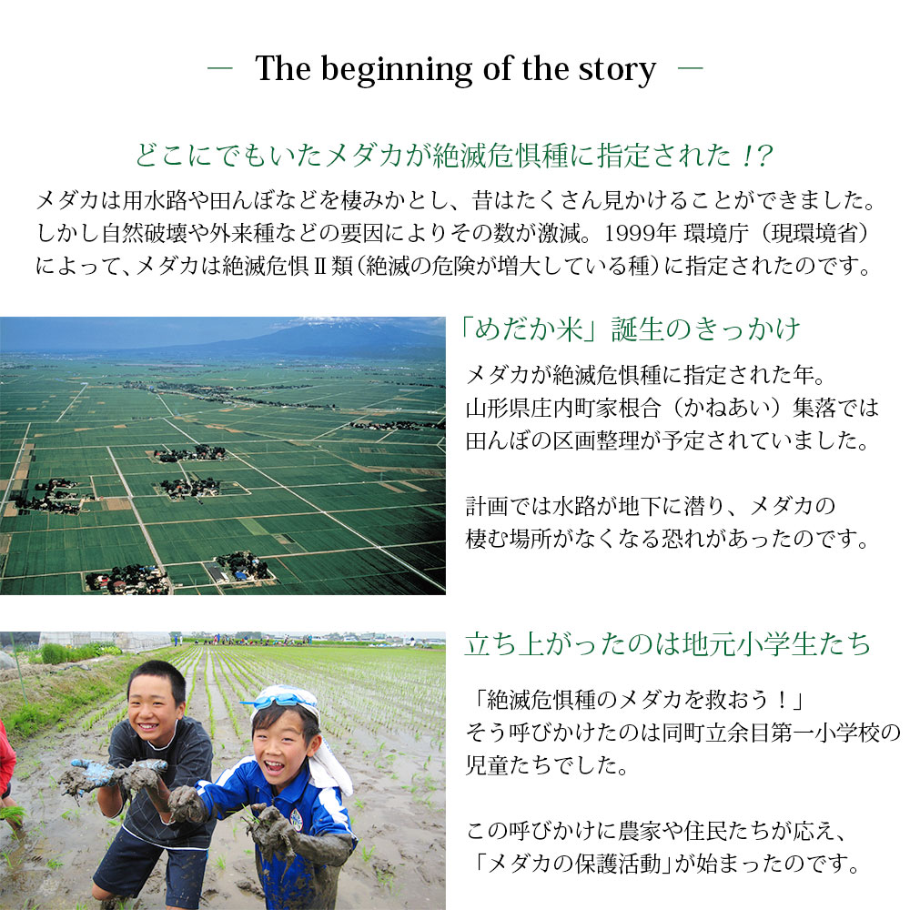 シゲ兄iGUCA イグカ+お米10キロ はえぬき 令和6年 メダカが泳ぐキレイな田んぼで育ったお米 10kg