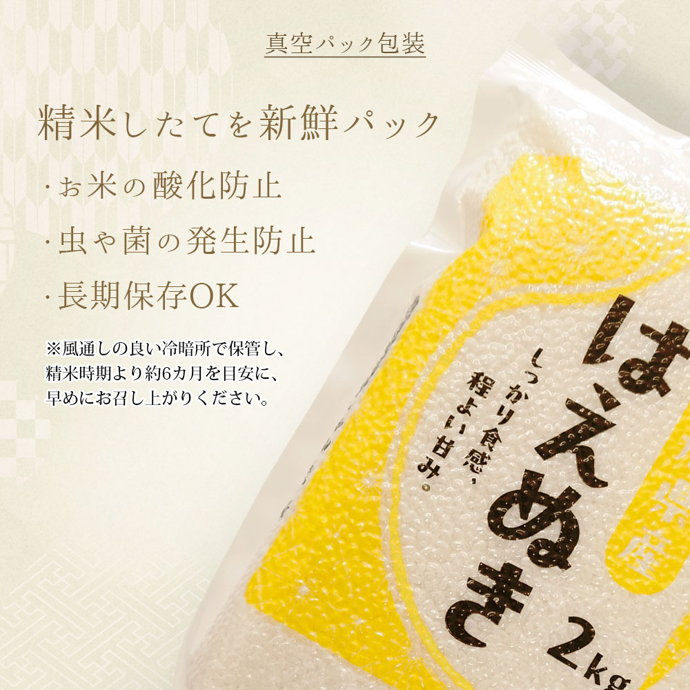 はえぬき 令和6年 お米 4kg (2kg×2袋) 山形県産 真空パック