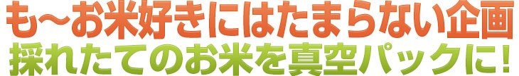 も?お米好きにはたまらない企画 採れたてのお米を毎月お届け！