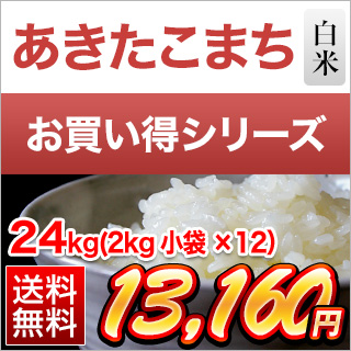 令和４年(2022年) 千葉県産 あきたこまち 白米 24kg(2kg×12袋）【送料無料】【米袋は窒素充填包装】【即日出荷】