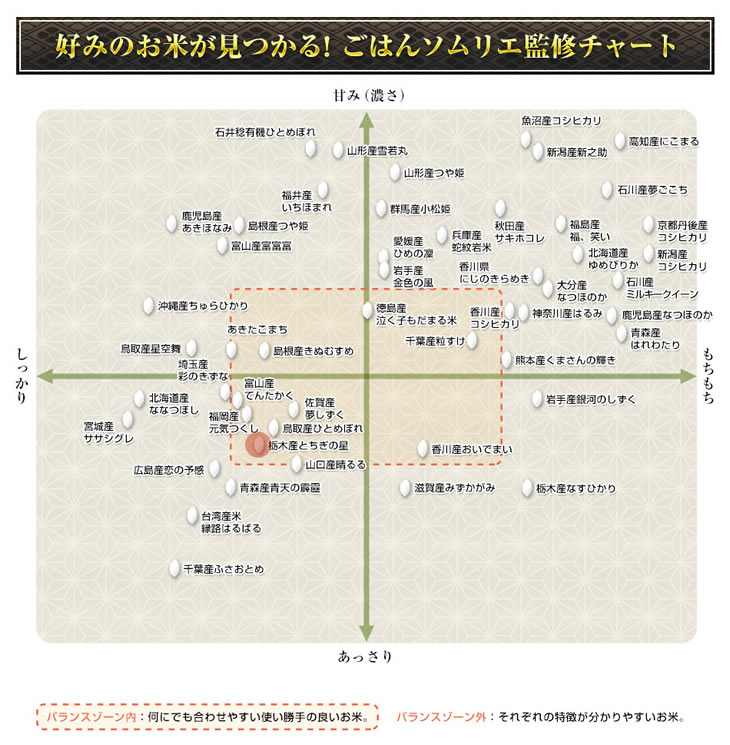 栃木産 とちぎの星 300g(2合) × 3パック 真空パック【オコメール・白米