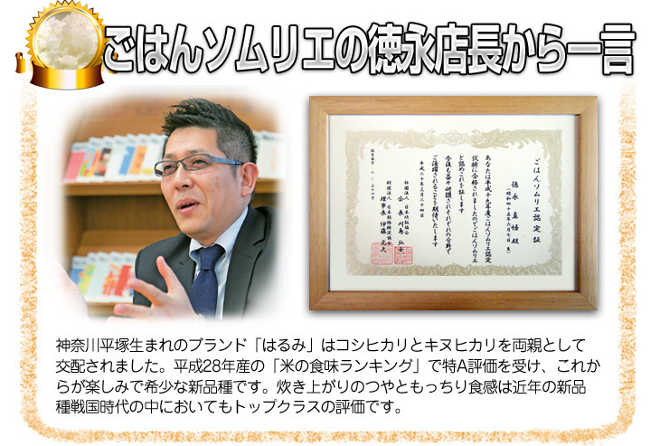ごはんソムリエの徳永店長から一言