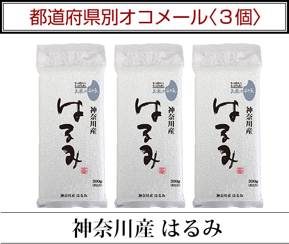 都道府県別オコメール3個