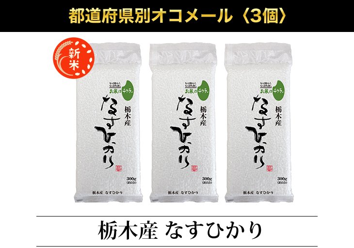 なすひかり 新米 栃木産 300g(2合) × 3パック 真空包装【オコメール
