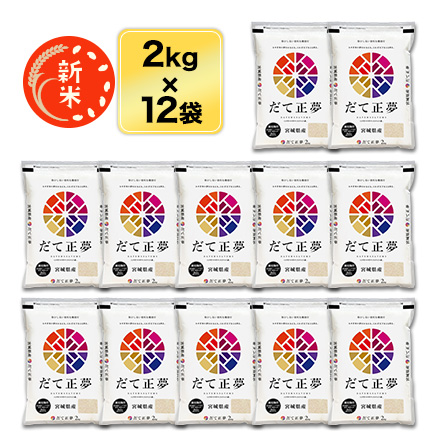 新米 令和5年(2023年)産 宮城県産 だて正夢 白米 24kg(2kg×12袋）【送料無料・米袋は窒素充填包装】【即日出荷】