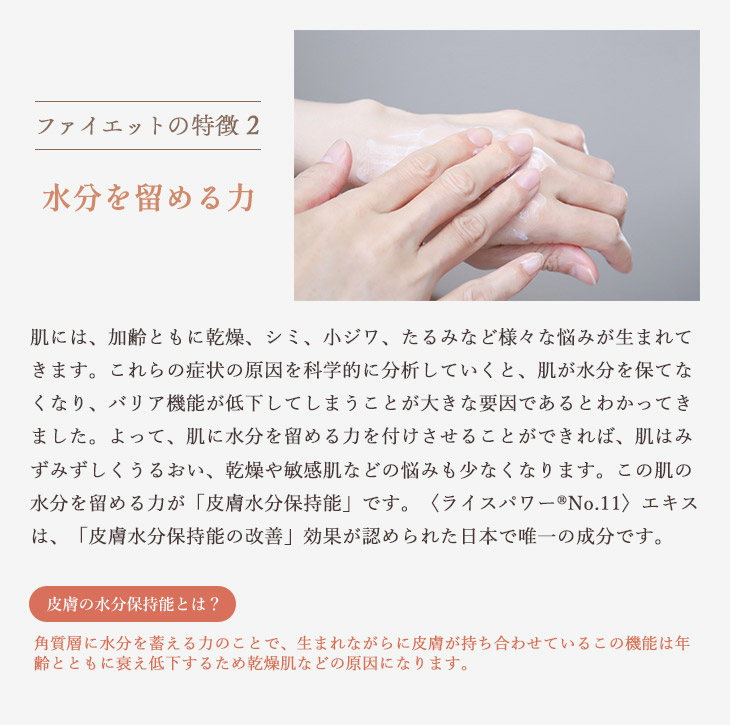 Fayette ファイエット 薬用ミルクローション 80g×６本セット Fayette ファイエット 薬用ミルクローション 80g×6本セット