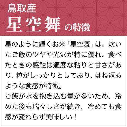 鳥取県産 星空舞 300g(2合) × 3パック 真空パック【白米・ゆう