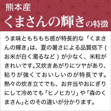 熊本県産 くまさんの輝き 300g(2合) × 3パック 真空パック【白米・ゆう