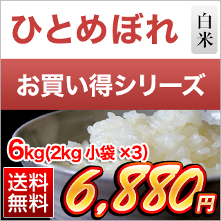 ひとめぼれ 岩手県産 白米 6kg(2kg×3袋）【送料無料】【米袋は窒素充填