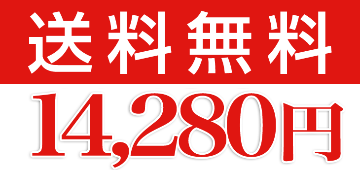 送料無料11100円