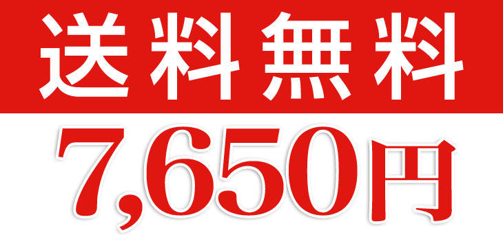 送料無料6100円