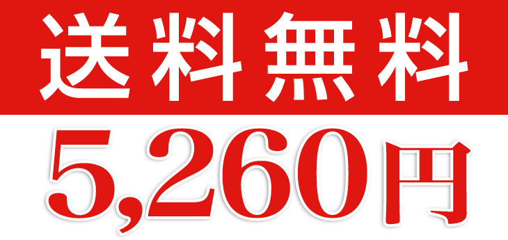 送料無料5260円