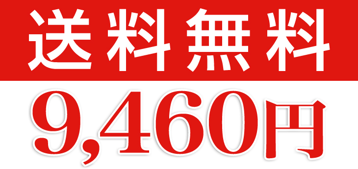 送料無料9460円