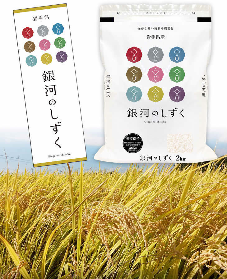 岩手県産 銀河のしずく ＜8年連続特A評価＞ 白米 6kg（2kg×3袋）【送料