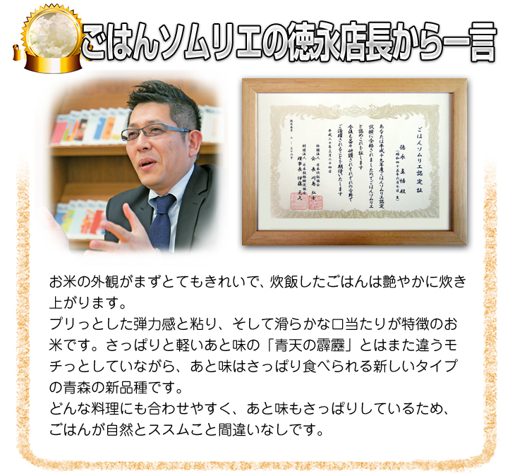 青森県産 新米 はれわたり 真空パック １０kg ２袋 青森県産 はれわたり 新米白米 10キロ