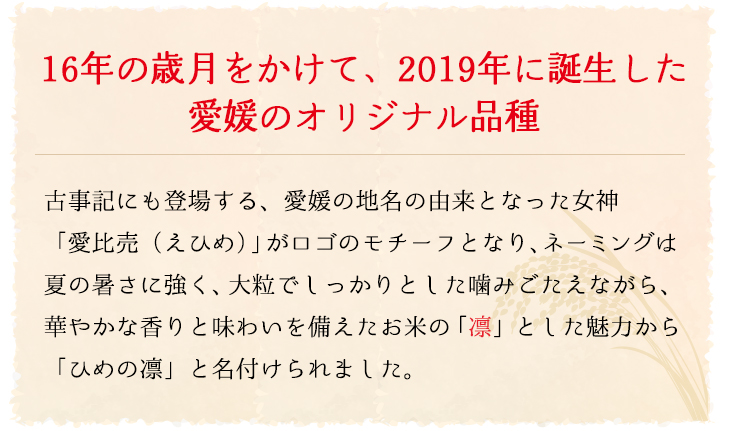 16年の歳月をかけて、2019年に誕生した愛媛のオリジナル品種