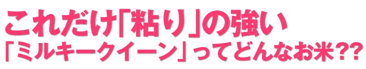 これだけ「粘り」の強い「ミルキークイーン」ってどんなお米？