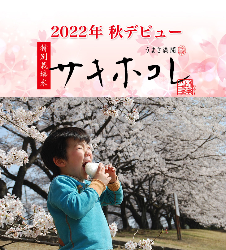 豊富なギフト 秋田県産 サキホコレ 300g(2 ＜特別栽培米＞＜4年連続特A評価＞ 米・雑穀・粉類
