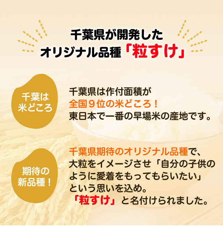 千葉県産 粒すけ 白米 300g(2合) × 3パック 【真空パック・ゆう