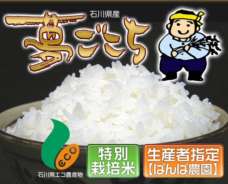 夢ごこち　10kg 白米 夢ごこち 石川県産 10kg(2kg×5袋) (白米・玄米) 【送料無料