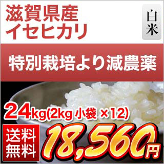 令和4年産(2022年) 滋賀県産 イセヒカリ 24kg（2kg×12袋）【減農薬】【白米】【送料無料・米袋は窒素充填包装】