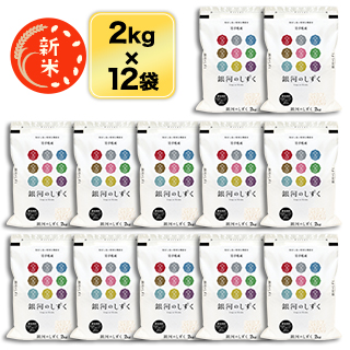 新米 令和5年(2023年)産 岩手県産 銀河のしずく 白米 ＜デビューして5年連続特A評価＞24kg（2kg×12袋）【送料無料】【米袋は窒素充填包装】【即日出荷】