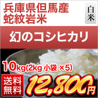 令和7年産 お米の銘柄一覧