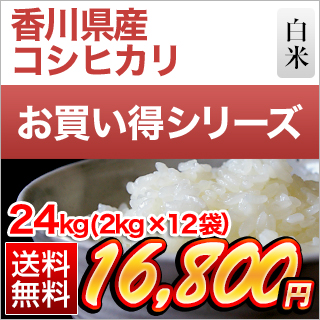 令和4年(2022年)  香川県産 コシヒカリ 白米 24kg(2kg×12袋)【送料無料】【米袋は窒素充填包装】【即日出荷】