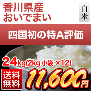 令和4年産(2022年) 香川県産 おいでまい 24kg(2kg×12袋) 特A評価【送料無料】【白米】【即日出荷】【米袋は窒素充填包装】