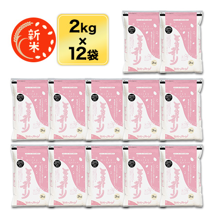 新米 令和5年(2023年)産 石川県産 ミルキークイーン 白米 24kg (2kg×12袋)【送料無料】【米袋は窒素充填包装】【即日出荷】【生産者指定米】