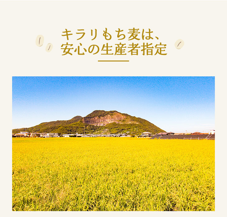 もち麦は安心の生産者指定