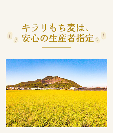 もち麦は安心の生産者指定