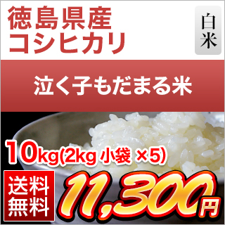 徳島産　コシヒカリ　白米 10kg 徳島産 コシヒカリ 白米 10kg 楽天市場】徳島県産 白米