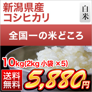 新潟県産 コシヒカリ 10kg