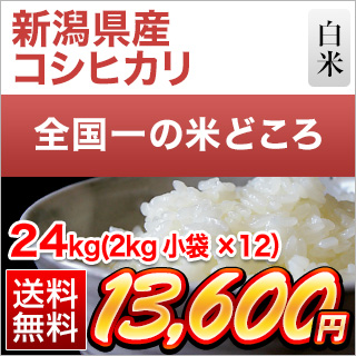 新潟県産 コシヒカリ 24kg