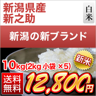 新之助（しんのすけ） 新潟県産 白米 10kg（2kg×5袋）【送料無料