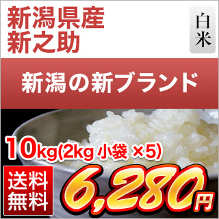 新潟県産 新之助10kg(2kg×5袋)