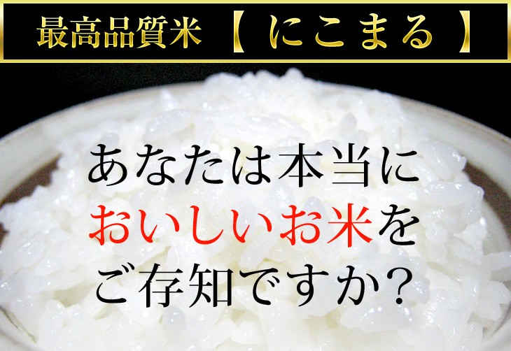 ⭐3分割⭐ 令和6年度 埼玉県産⭐にこまる⭐白米29キロ 送料無料 高知県四万十産 にこまる〈10年連続特A評価〉白米 10kg(2kg×5袋