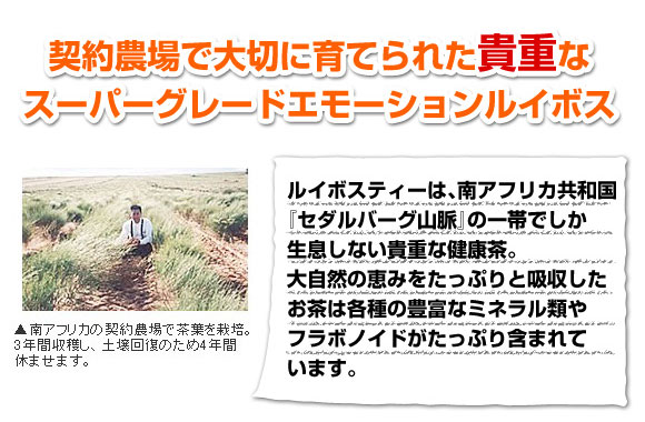 エモーションルイボス